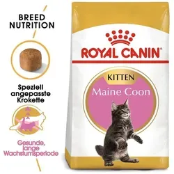 ROYAL CANIN Maine Coon Kitten 400g - Trockenfutter für harmonisches Wachstum, mit Rabatt-Code ROYAL-5 5% sparen!
