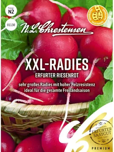 Chrestensen XXL-Radies Erfurter Riesenrot Saatband - Golfballgröße Riesenradieschen - Leuchtend Rot Kräftig Würzig - Raphanus sativus Saatgut - Samenfest - Radieschensamen März-September Freiland 3m