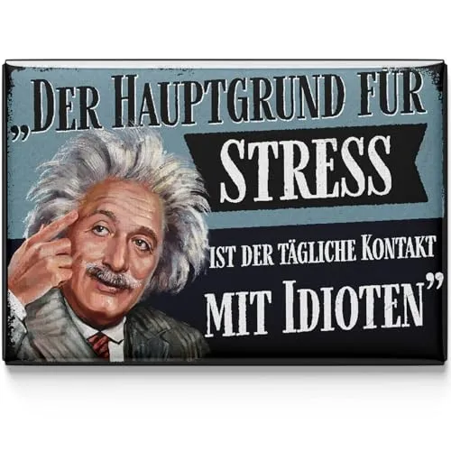 LANOLU Kühlschrankmagnete lustig- Der Hauptgrund für Stress - lustige Magnete mit Sprüchen und witzigen Motiven 8x5,5cm