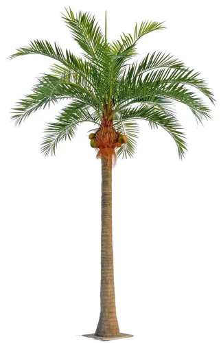 Kunstpalme NARUN mit Kokosnüssen, 570 cm - Lebendige Kunstpalme von artplants, ideal zur Dekoration und für den Innenbereich. Mit einer Höhe von 570 cm bringt sie tropisches Flair in Ihr Zuhause. Lieferung ohne Dekoration.