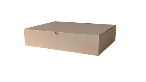 DHL Kleinpaket - Klappdeckelkarton Karton 350x250x80 mm Faltkarton Versandkarton