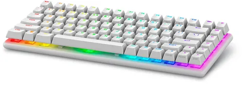 Alienware Pro Wireless-Gamingtastatur - Lunar Light, Hot-Swap-fähig mit professionellen Switches für ultimative Gaming-Performance
