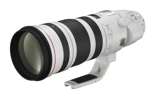 Canon EF 200-400mm f/4 L IS USM + Extender 1,4x - Teleobjektiv vom Fachhändler - Teleobjektiv für Canon mit einer Brennweite von 200-400 mm und exzellenter Bildstabilisierung, ideal für Wildlife- und Sportfotografie.