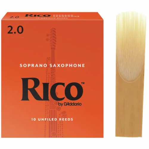 Rico Soprano Saxophone 2.0
