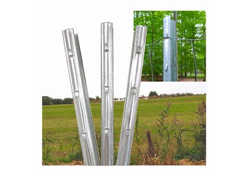 TRUTZHOLM Zaunpfosten Z-Profil 215 cm verzinkt 100x Zaunpfähle inkl. Haken Forstprofil, (100-St)