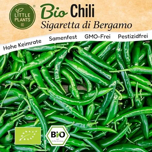 Little Plants BIO Chili Samen 10 Chilisamen Sigaretta Gemüsesamen Samenfest für Gemüsegarten Gemüse Samen Hochbeet Samen für Küche, Balkon und Garten