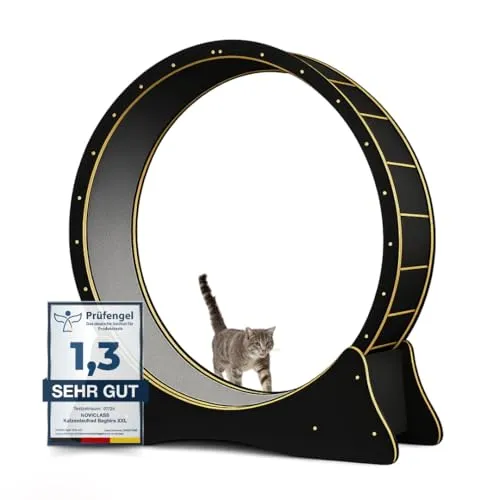 noviclass® Katzenlaufrad Baghira Groß XXL - Artgerecht für große Katzen - Interaktives Spielzeug für Katzen - Mit 132cm Durchmesser, kratzfest, stabil und leise. Fördert die Gesundheit bewegungsarmer Katzen und enthält Gratis Spielzeug und E-Book.