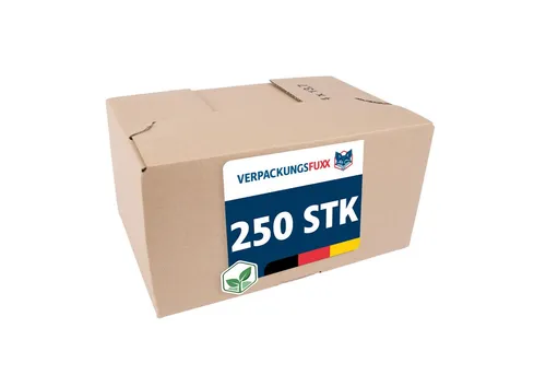 VERPACKUNGSFUXX Versandkarton Karton mit Automatikboden 285 x 185 x 145 mm, 250 Stk., Steckverschluss, 1-wellig