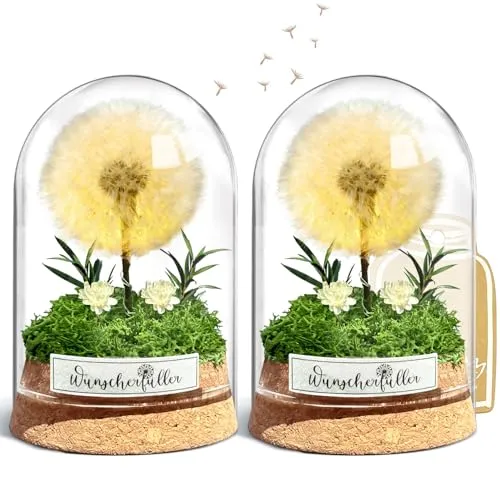 Wunscherfüller mit LED Licht, Echte Pusteblume im Glass, Ewig Geburtstagsgeschenk für Frauen Freundin Mädchen Geschenke für Geburtstag Hochzeit Jugendweihe Weihnachten Valentinstag 2 Stück (2 Stück)