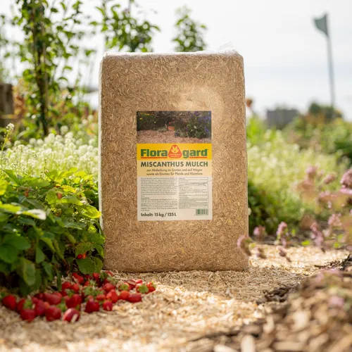 FLORAGARD Miscanthus Mulch 125 Liter - Brauner Naturmulch - Blumenerde für nachhaltige Gartenpflege, torffrei und ideal zum Mulchen von Beeten sowie zur Unkrautbekämpfung.