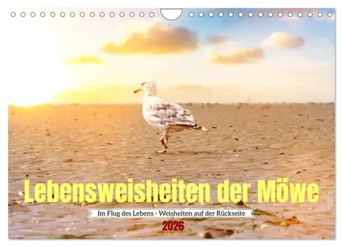 Www. Bihlmayer-Media. Com Www. Bihlmayer-Media. Com | Lebensweisheiten der...