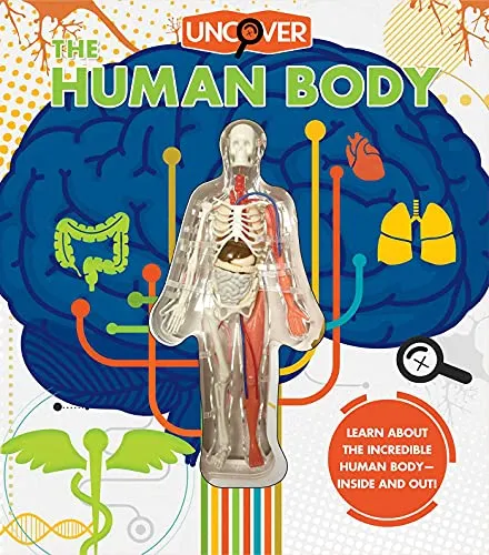 Uncover the Human Body: Includes Plastic Model