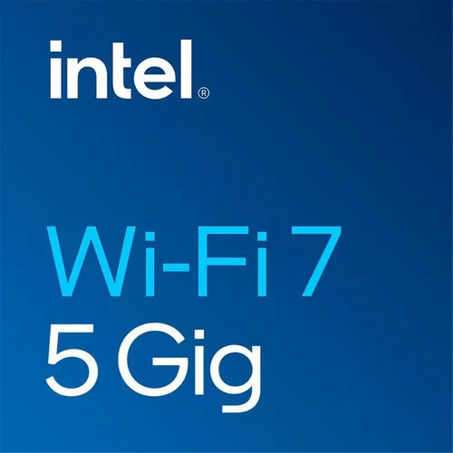 Intel BE200 (M.2 E Key) (BE200.NGWG.NV)