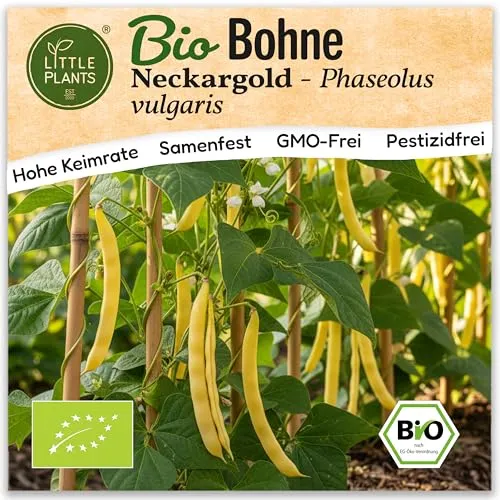 Little Plants BIO Stangenbohne Samen 15 Bohnensamen Neckargold Gelb Gemüsesamen Gemüsesaatgut Samenfest für Gemüsegarten, Hochbeet, Küche, Balkon und Garten