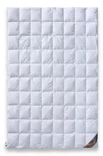 daunen-federn.de Sommer Bettdecke 135x200 Premium - Bettdecken: Leichte Sommerbettdecke aus 100% neuen Daunen Klasse 1, atmungsaktiv und temperaturausgleichend für erholsamen Schlaf.