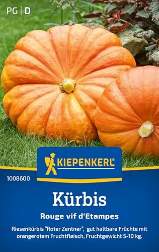 Kiepenkerl Kürbissamen Roter Zentner 1008600 - Riesenkürbis - haltbare Früchte - Fruchtgewicht 5-10 kg - Samen Gemüse, Gemüsesamen, Saatgut, Gemüsepflanzen