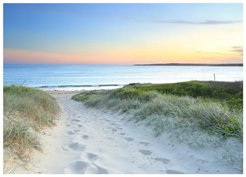 Fototapete Strand Meer Nordsee Dünen Natur 400x280 cm - inkl. Kleister - für Wohnzimmer Schlafzimmer Flur Modern Vlies Tapete Vliestapete Wandtapete Motivtapeten