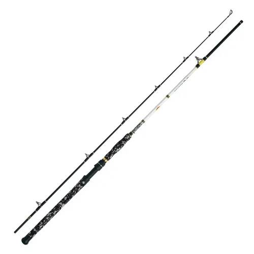 WFT Catbuster Spin 20-210g 2,70m