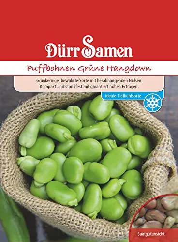 Dürr-Samen - Puffbohnen Grüne Hangdown Saatgut