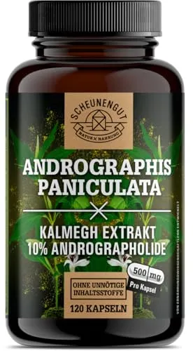 Andrographis Paniculata -500mg je Kapsel- WICHTIG: 10:1 Extrakt (=5000mg Kalmegh Hochdosiert) -120 Stk- Chemiefreies Produkt -Vegan und Laborgeprüft- DE SCHEUNENGUT®