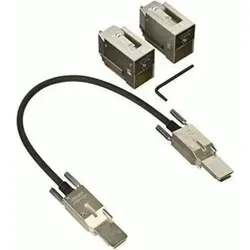 Cisco Netzwerkstapelmodul (Packung mit 2)