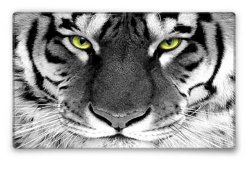 Silent Monsters Gaming und Office Mauspad 24 x 20cm Mousepad Tiger Raubtier Löwe