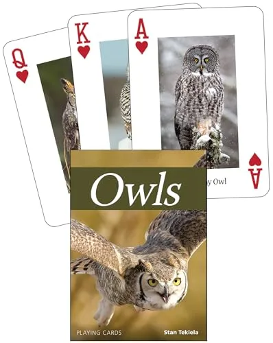 Owls Playing Cards (Nature's Wild Cards)