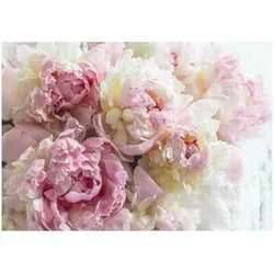 Fototapete Blumen Pfingstrose Rosen Romantik Rosa 350x250 cm - inkl. Kleister - für Wohnzimmer Schlafzimmer Flur Modern Vlies Tapete Vliestapete Wandtapete Motivtapeten