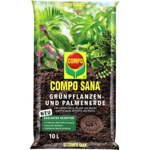 Compo SANA Blumenerde für Grünpflanzen und Palmen, 10 Liter - Gebrauchsfertige Blumenerde mit Startdüngung für bis zu 12 Wochen. Ideal für Zimmerpflanzen und Balkongrün, sorgt für kräftiges Wurzelwachstum und gesunde Blätter.