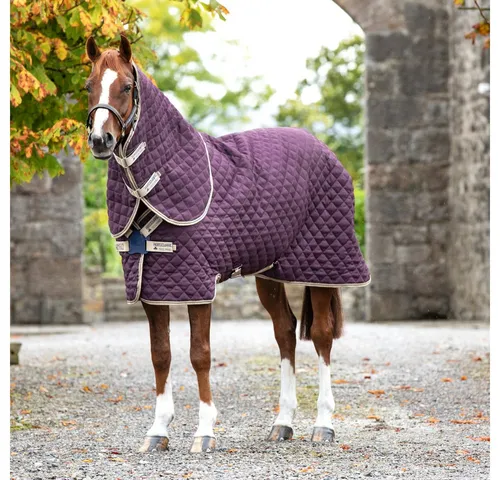 Horseware Pferde-Thermodecke Horseware Amigo Stable Plus DISC Medium 200g - Fig/Navy