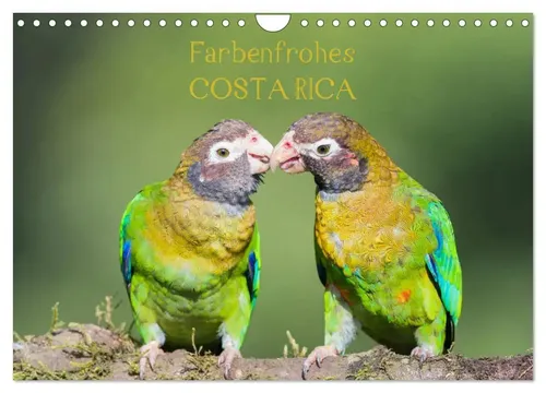 Www. Sonja-Jordan. At Jordan | Farbenfrohes Costa Rica (Wandkalender 2026 DIN...