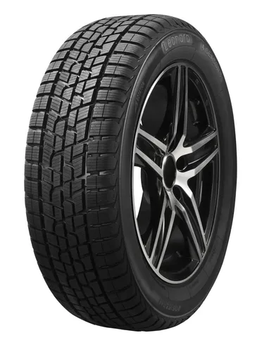 Leonard 4Seasons runderneuert 205/55 R17 95V XL M+S Allwetterreifen