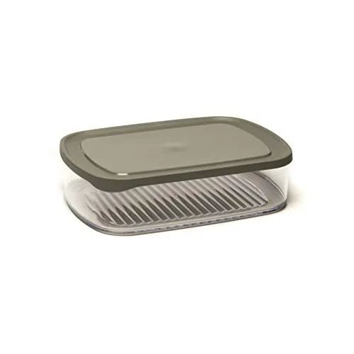 Amuse, 23 x 16 x 6 cm Käse-Frischhaltedose, rechteckig, auch zur Aufbewahrung von Aufschnitt, Kühlschrank Organizer, Vorratsdose mit grauem Deckel, Kunststoff, 23,2 x 16,4 x 5,9 cm