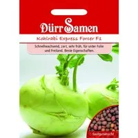 Dürr Samen Kohlrabi Express Forcer F1 Saatgut