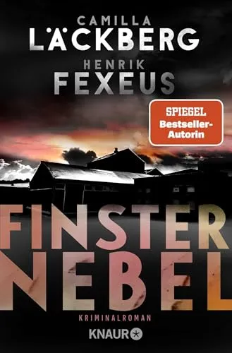 Finsternebel: Kriminalroman | Der Bestseller aus Schweden jetzt im Taschenbuch (Die Dabiri-Walder-Trilogie, Band 2)