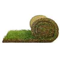 Spiel- & Sport-Rollrasen für Ihren Garten - Ideal für Gartenbesitzer: Unser Rollrasen bietet ein sattes, frisches Grün, das schnell begehbar und belastbar ist. Perfekt für die Verlegung von März bis November.