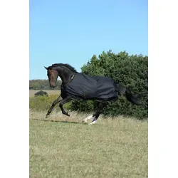 Bucas 145 Black/Gold Outdoordecke 50g - Pferdedecken, leichte Turnout- und Weidedecke mit 50g Futter für optimalen Komfort und Schutz in der Übergangszeit.