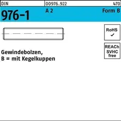 Gewindebolzen DIN 976 m.Kegelkuppen BM 8 x 500 A 2