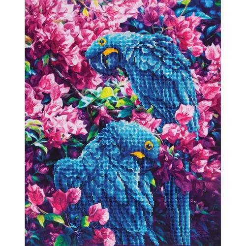 Diamond Dotz Papagei 42 x 52 cm