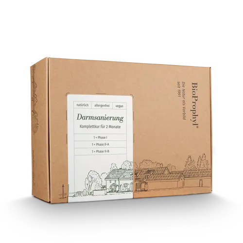 BioProphyl Darmsanierung