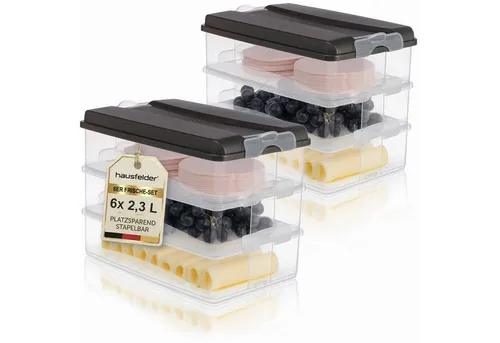 Hausfelder Frischhaltedose Aufschnittdosen Set mit Deckel, 6 x flach, 2 x hoch, Anthrazit, Kunststoff, (Set, 8-tlg., 6x flach, 2x hoch), Kühlschrank Organizer, BPA-frei, stapelbar