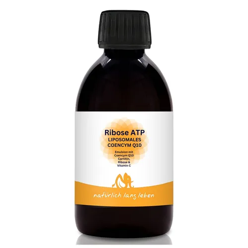 Liposomales Coenzym Q10 - Ribose ATP - 250 ml