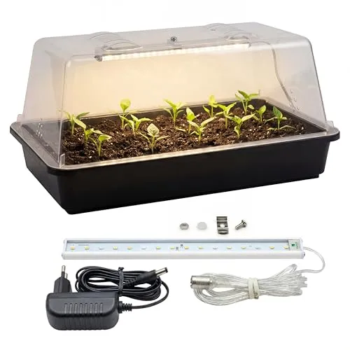 Romberg Lumio M Zimmergewächshaus mit LED Beleuchtung - Effizientes Zimmergewächshaus mit 5 Watt LED Beleuchtung für optimale Anzuchtbedingungen, ideal für Pflanzenliebhaber.