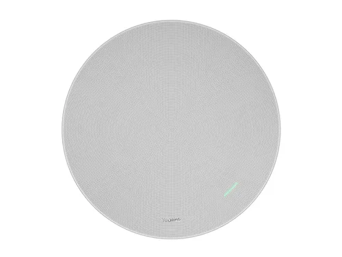 Yealink CS10 IP Lautsprecher für Konferenzsystem - Optimierter 20 Watt Zweiweg-Koaxial Lautsprecher für klare Audioqualität in Konferenzen, ideal für professionelle Meetings.
