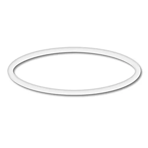 SunSun Ersatzteil für Schwimmbadpumpe O-Ring 1, leistungsstarke Poolfilteranlage, Filterpumpe mit hoher Förderleistung, robuste Pool Pumpe