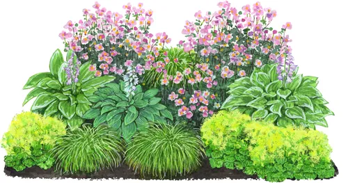 Dehner Bio Stauden-Set Schattengarten – 12 schattenliebende Pflanzen für Ihren Garten - Schaffen Sie mit dem 12-teiligen Stauden-Set Schattengarten eine blühende Oase im Schatten. Ideal für schattige Standorte, robust und pflegeleicht. Bepflanzen Sie ca. 2-3 m² und genießen Sie üppigen Blattschmuck von Juni bis Oktober.