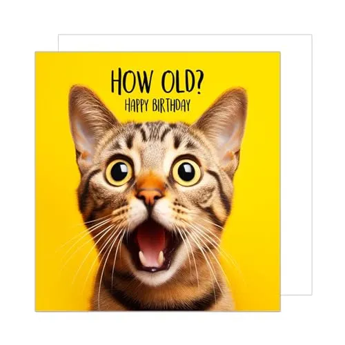 Edition Seidel Premium Geburtstagskarte mit Umschlag - Coole Katze - Grußkarte in quadratischem Format (14,5 x 14,5 cm) mit humorvollem Design. Hochwertiger Offsetdruck und passendem Umschlag, ideal für besondere Geburtstagsgrüße.