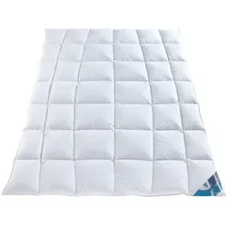 Häussling Hjemme hygge Kassettenbett 135x200 - Hochwertige Daunendecke für den Winter, 100% Baumwolle, mit optimaler Körperanpassung und kuschelig warmen Daunen-Federn für besten Schlafkomfort.