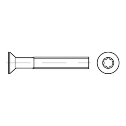 Reyher  Senkschrauben DIN 965 A 2 M 3 x 5 -T10 A 2 (1000 Stück)