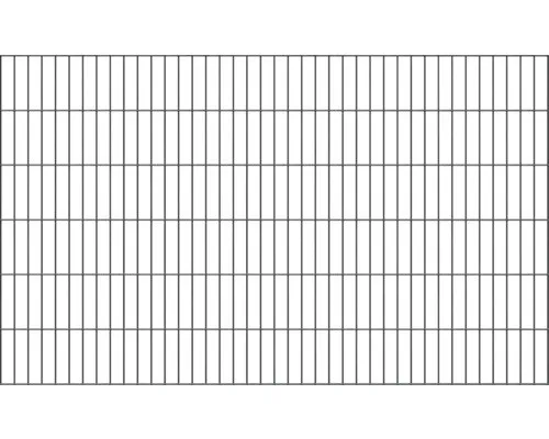 Doppelstab-Gittermatte Typ 6/5/6, 2000 mm x 1200 mm - anthrazit - Gartenzäune | Hochwertiger Doppelstabmattenzaun, verzinkt und kunststoffbeschichtet für lange Lebensdauer und optimalen Rostschutz.